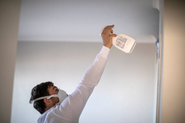 Best Mold Testing  in Seymour, WI